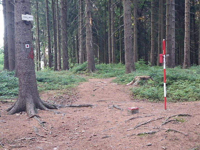Strážný nahoru a dolů